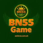 BN55 Game Download