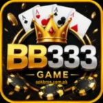 BB333 -game