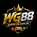 wg88-game