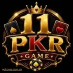 11pkr-game
