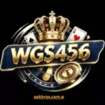 wgs456-game
